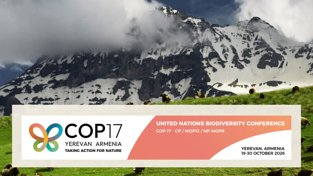 Identité visuelle officielle de la COP17 biodiversité à Erevan devant un paysage montagneux arménien, avec un papillon coloré et la devise Agir pour la nature.