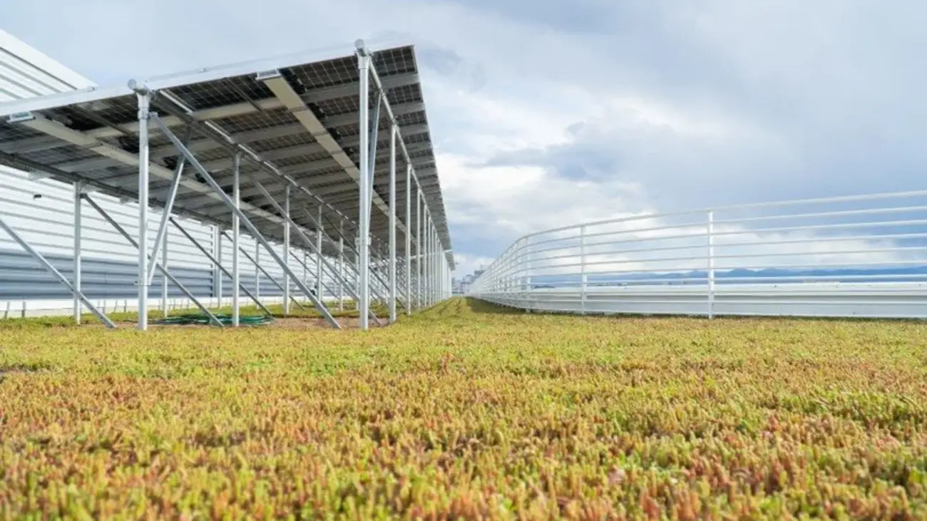 Toiture végétalisée du campus CSU Spur à Denver, où des cultures poussent sous des panneaux photovoltaïques.